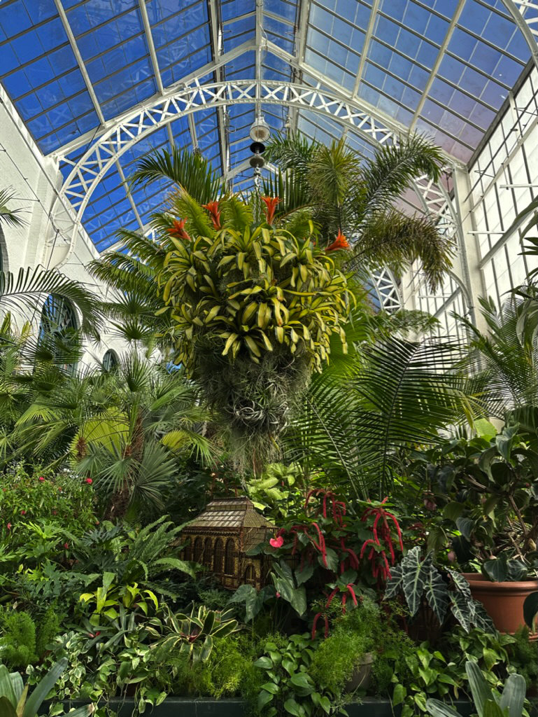 Inside the Conservatory