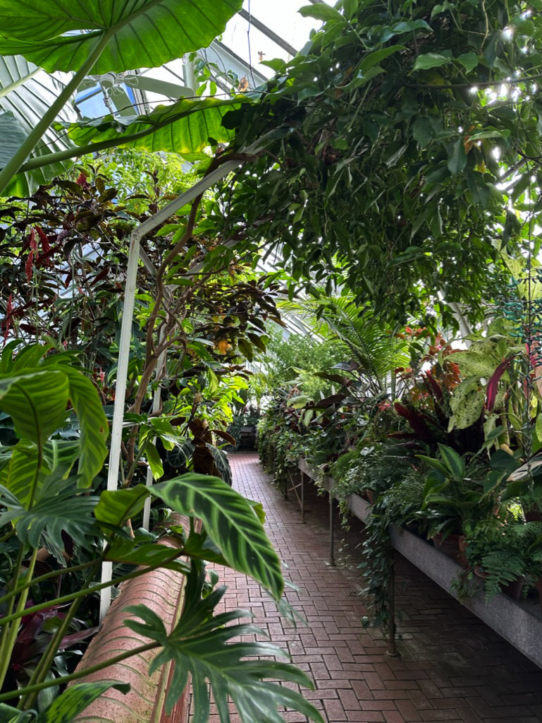 Inside the Conservatory