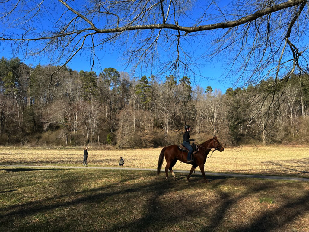 A visitor on horseback