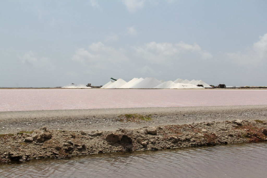 Salt flats of Bonaire