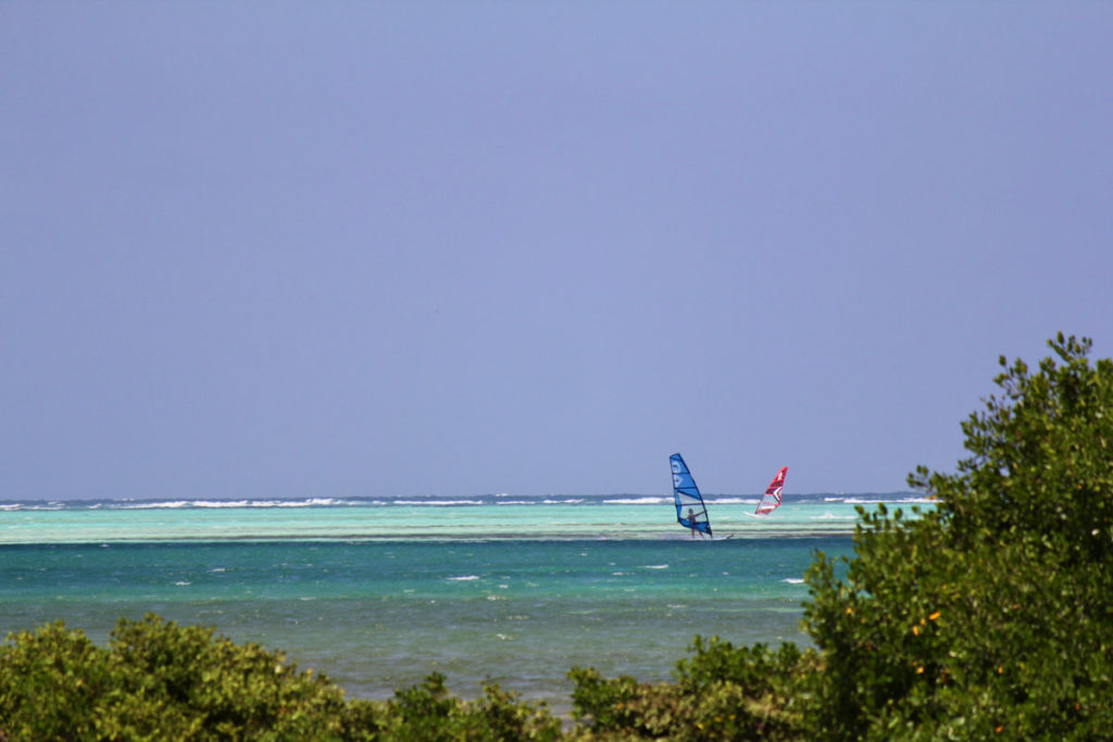 Windsurfers on Lac Bay