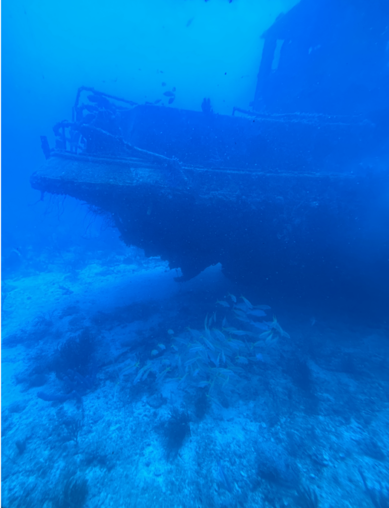 Shipwreck spotted from the Atlantis submarine