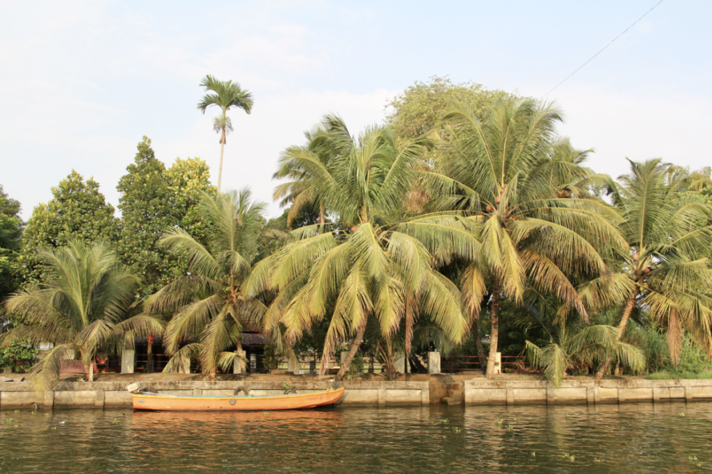 Boat docked along the Kerala Backwaters