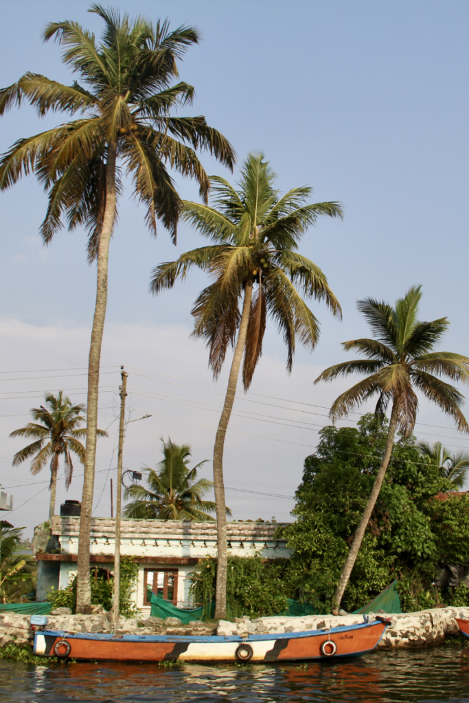 Palm-lined Kerala Backwaters