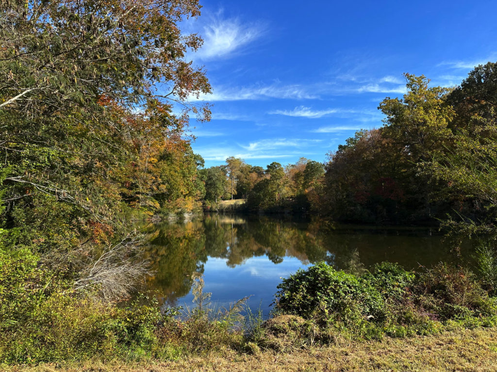 View from Bassett Trace Nature Trail