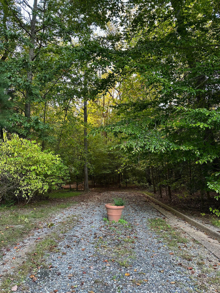 Trail to floating dock in New Quarter Park