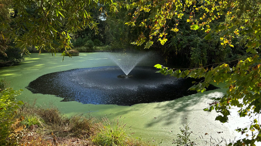 fountain in algae pond