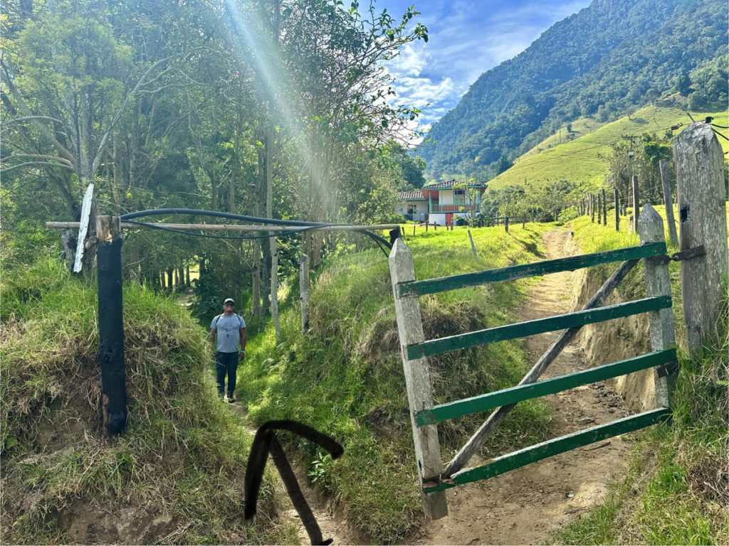 Picture of a fork in the trail, stay left