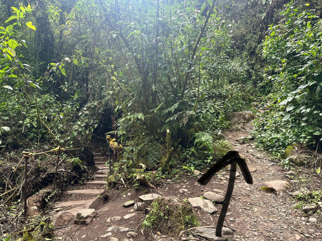 Picture of a fork in the trail, stay right