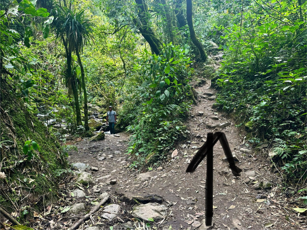 Picture of a fork in the trail, stay right