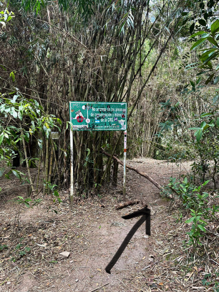 Stay to the right of the green sign