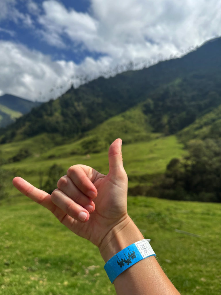 Cocora Valley hike wristband with blurred wax palms in the background