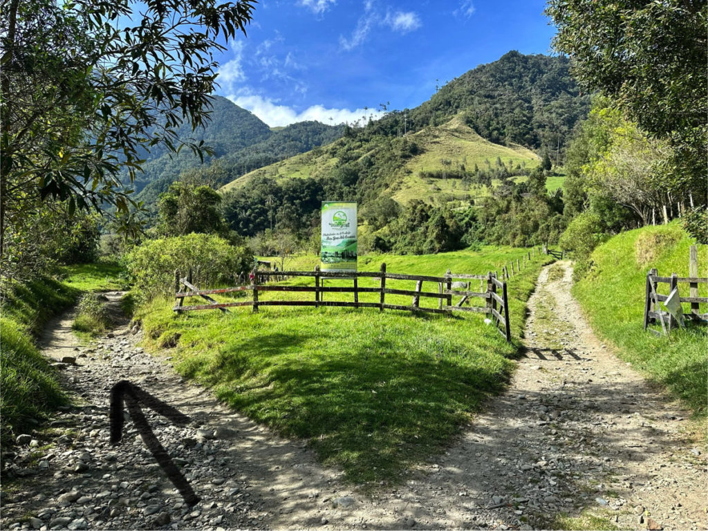 Picture of a fork in the trail, stay left at the sign for Dónde Juan B