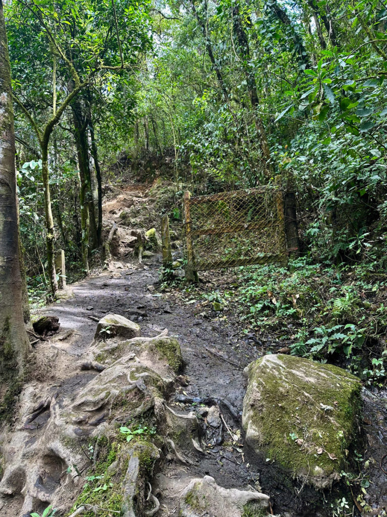 Continue straight, along the left side of the trail past a gate that blocks the right side of the trail