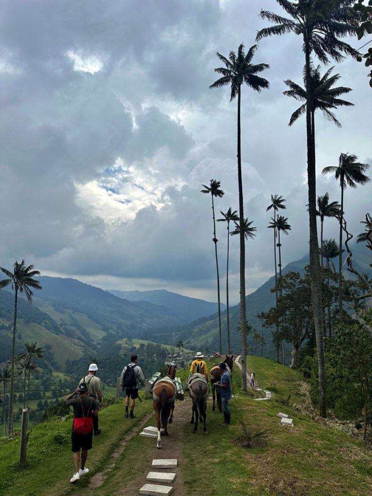 Trail leading to Mirador 1