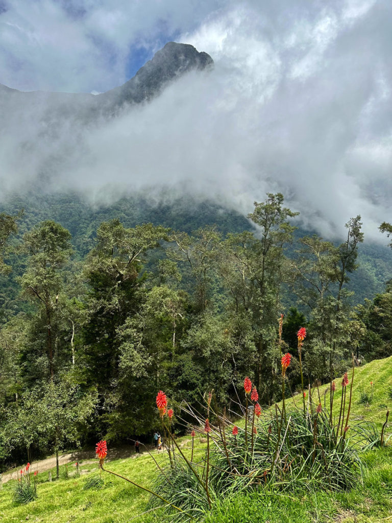 view of Cerro Morrogacho