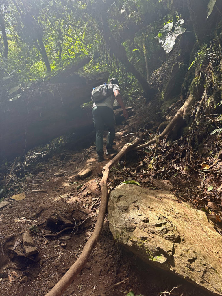 The route continues up a steep trail to the right