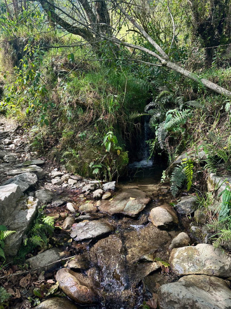 Small waterfall stream