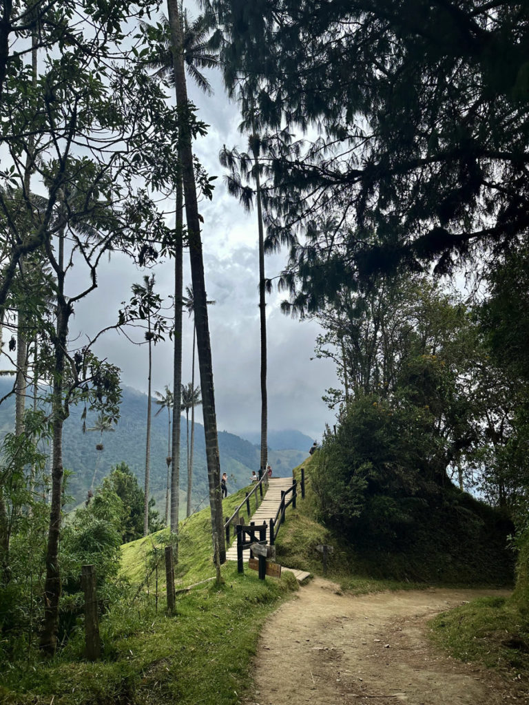 Trail leading to Mirador 2 on the left