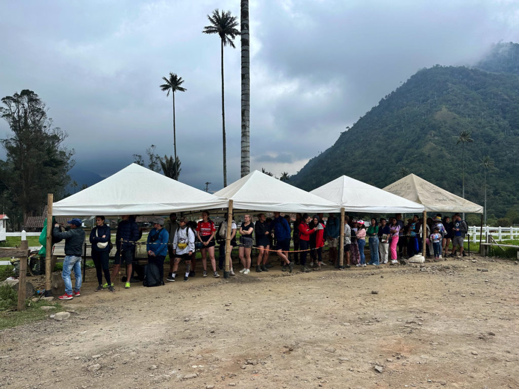 Line for Willys to return to Salento